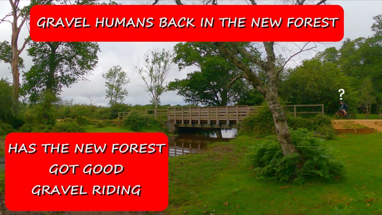 IS THE NEW FOREST PERFECT FOR A GRAVEL RIDE