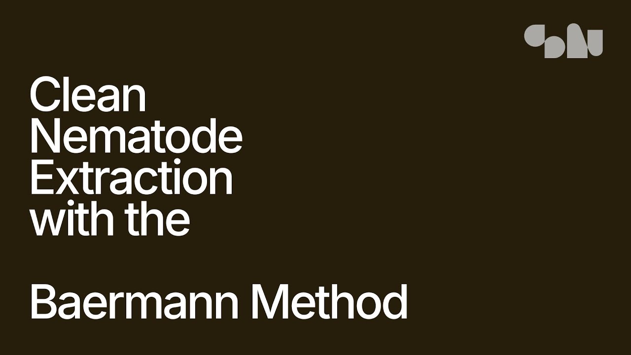 Clean Nematode Extraction with the Baermann Method