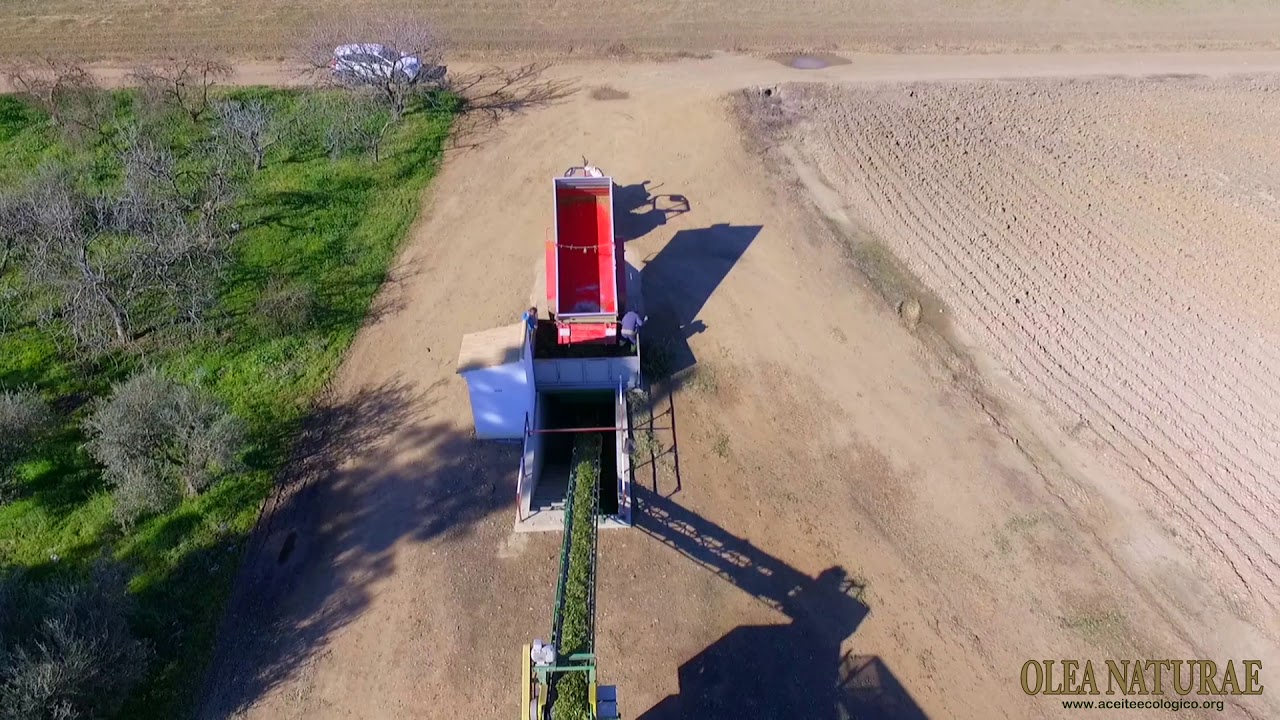 Finca La Alegría. Año 2019