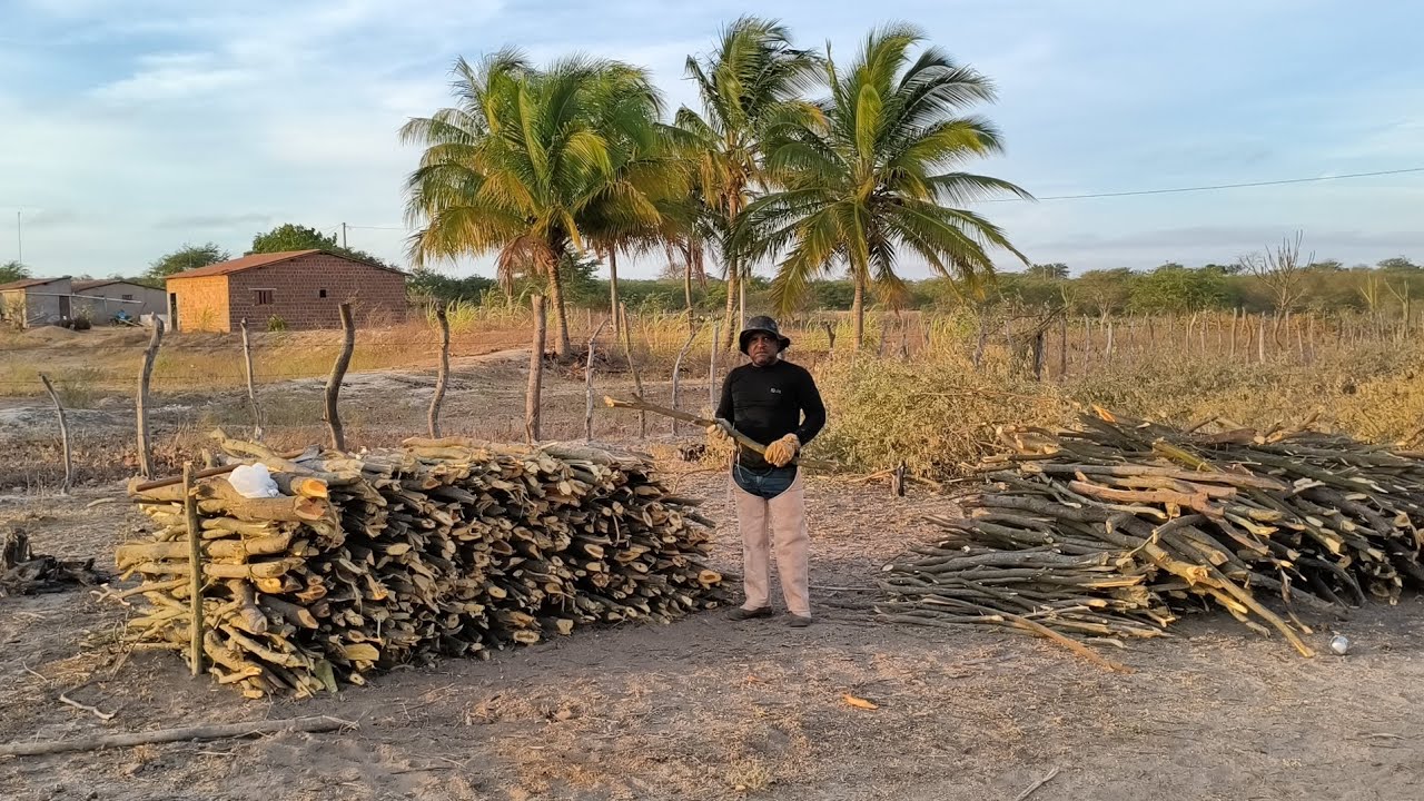 NEGO BILO COME&Ccedil;OU EMETRA A LENHA DE ALGAROBA E AGRADECER A O PESSOA QUE DEU A PENEIRA !!!!!