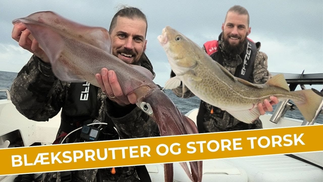DET GULE REV GAV MASSER AF TORSK OG NYE ÅRSARTER + ET HUG JEG ALDRIG GLEMMER!!!! // NATURNØRD 638