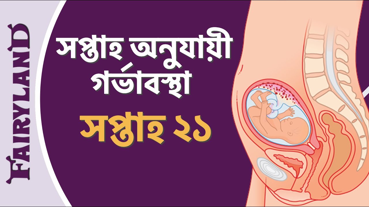 গর্ভাবস্থার একুশ তম সপ্তাহ | সপ্তাহ অনুযায়ী গর্ভাবস্থা | সপ্তাহ ২১