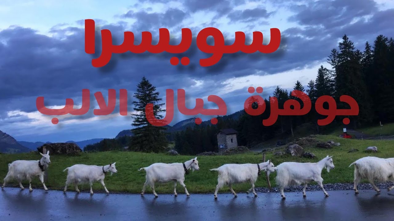 جولات سياحية ✅الريف السويسري /