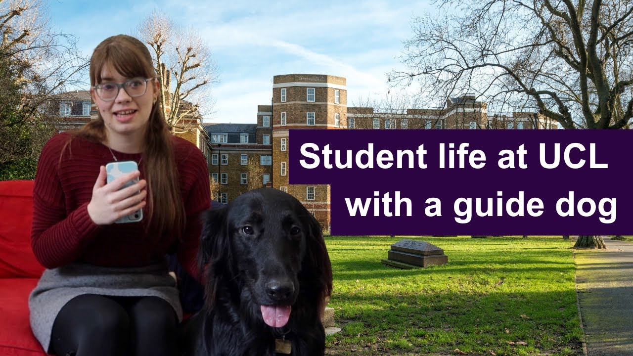 Langton Close 1 Bedroom Flat Tour | UCL Accommodation