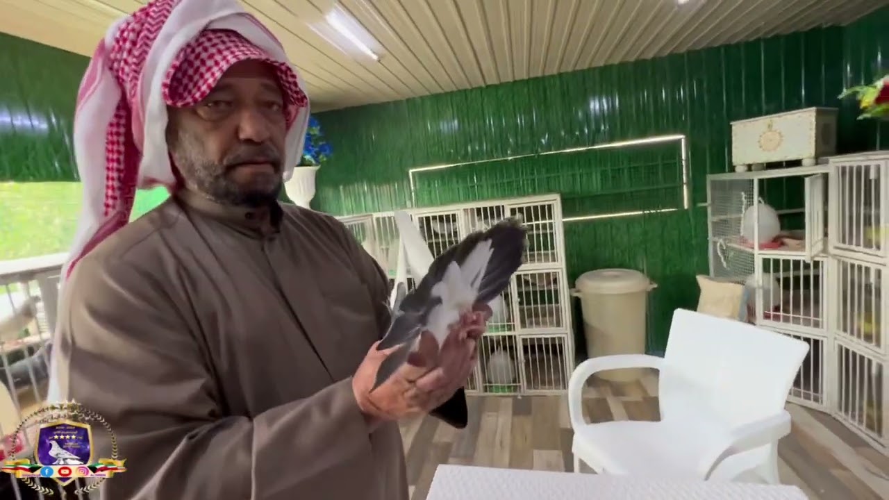 حمام لوت (زيارة العم علي المذن بوخليفه للاعلامي عثمان المسيلم )إنتاج 2024.