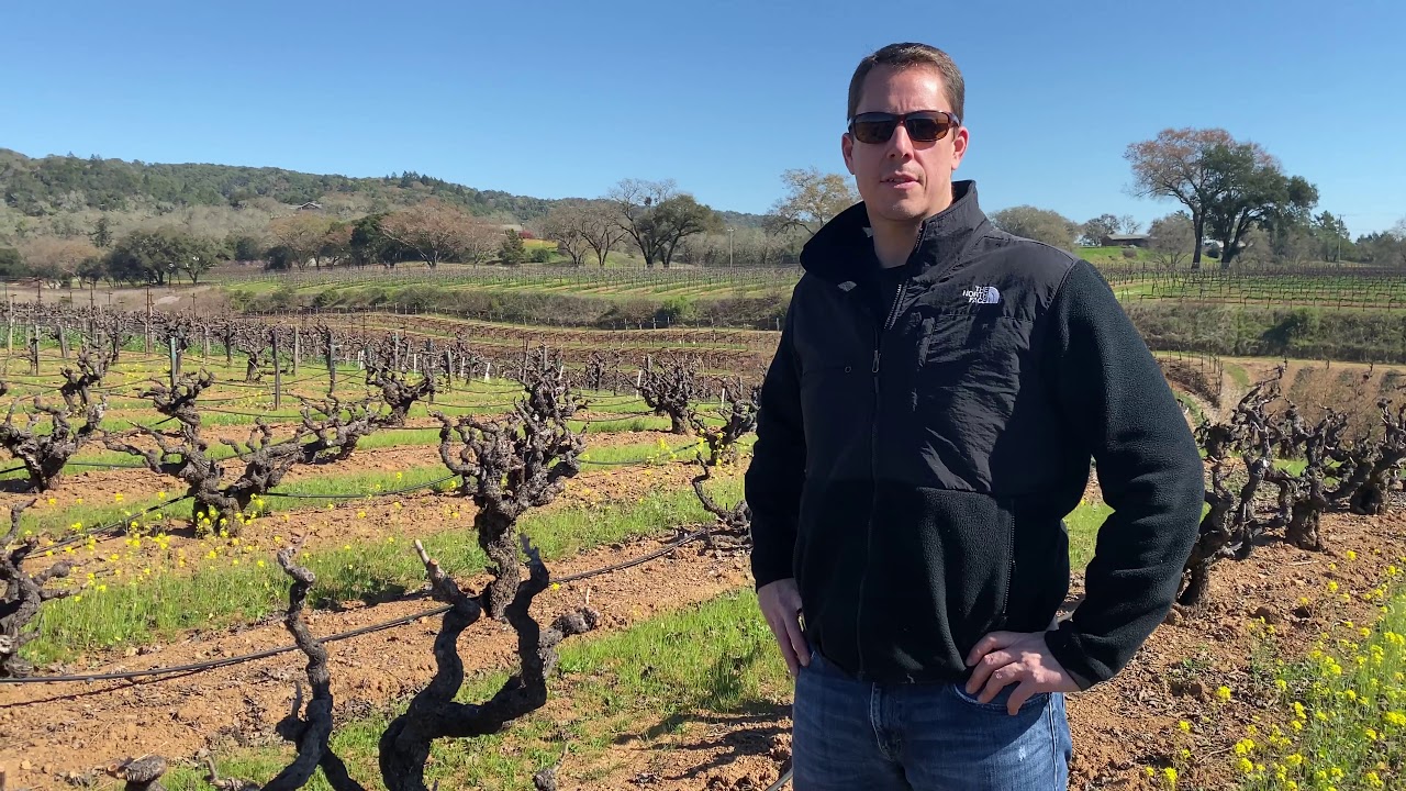 Kreck Wines Focuses on Old Vine Zinfandel - The California Wine Club