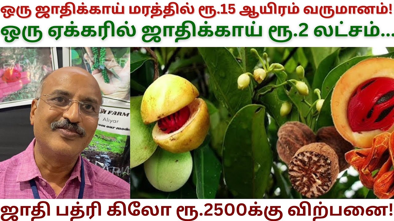 ஒரு ஏக்கரில் 7 வகையான வருமானம் | Nutmeg Tree | Pollachi S M Farm | Dr மூர்த்தி | Natural Farming