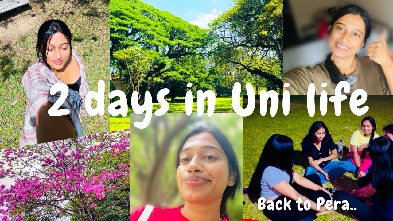 අවසන් වසරේ සරසවියේ☘️|මනමේ නාට්‍යයට වසර 70 ක්|9000 ක් ඇවිත් මනමේ බලන්න|ආයේත් මුල ඉඳන්|#viral#trending