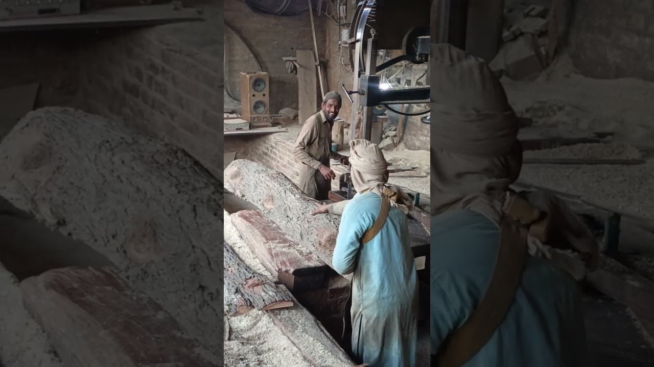 Wood SAWMILLING Highlights |Wood Workshop|