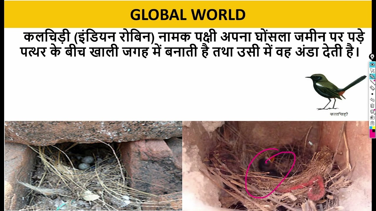 EVS HIGHLIGHTS- आवास,वस्त्र- Shelter