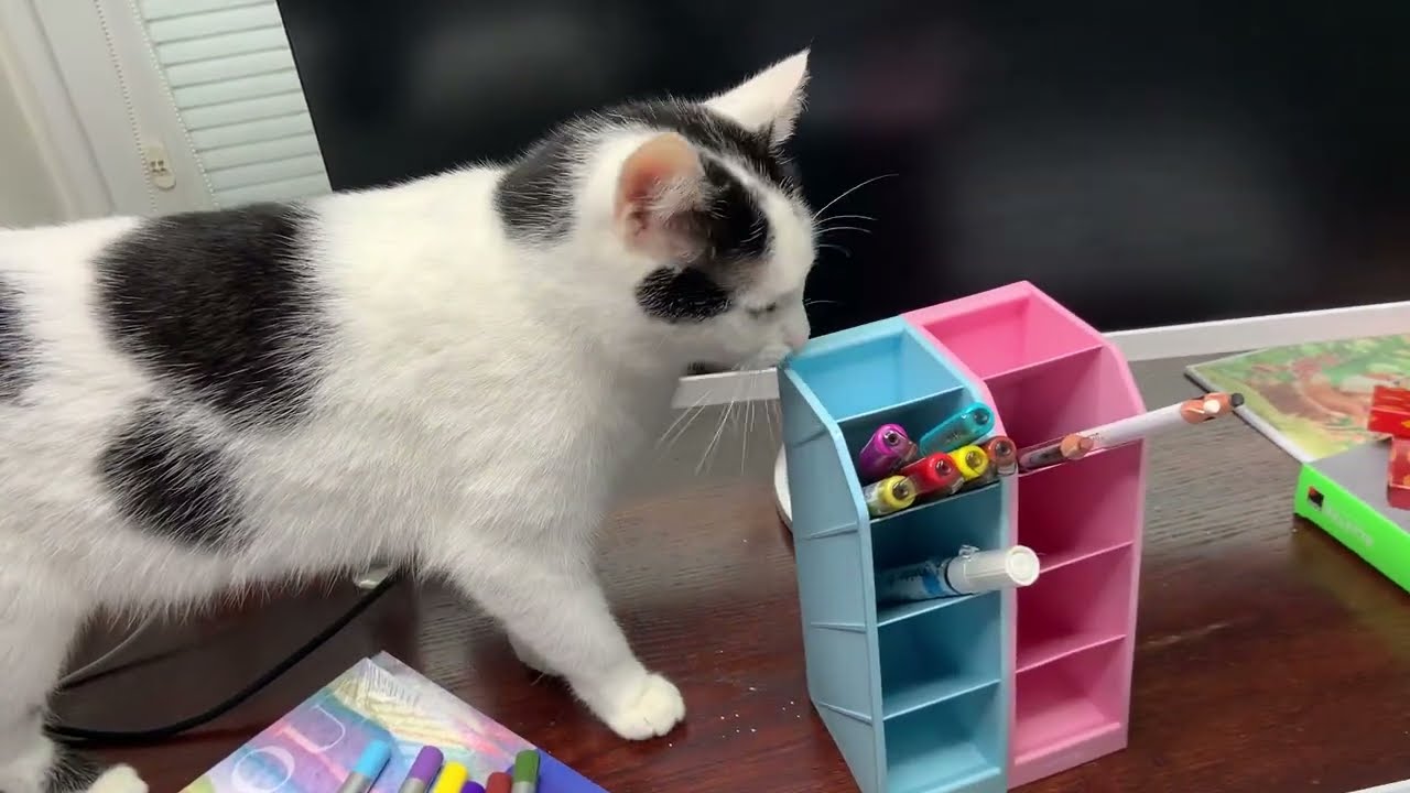 UNBOXING - nákup u Radost pro maminku a akvarelové sysliště