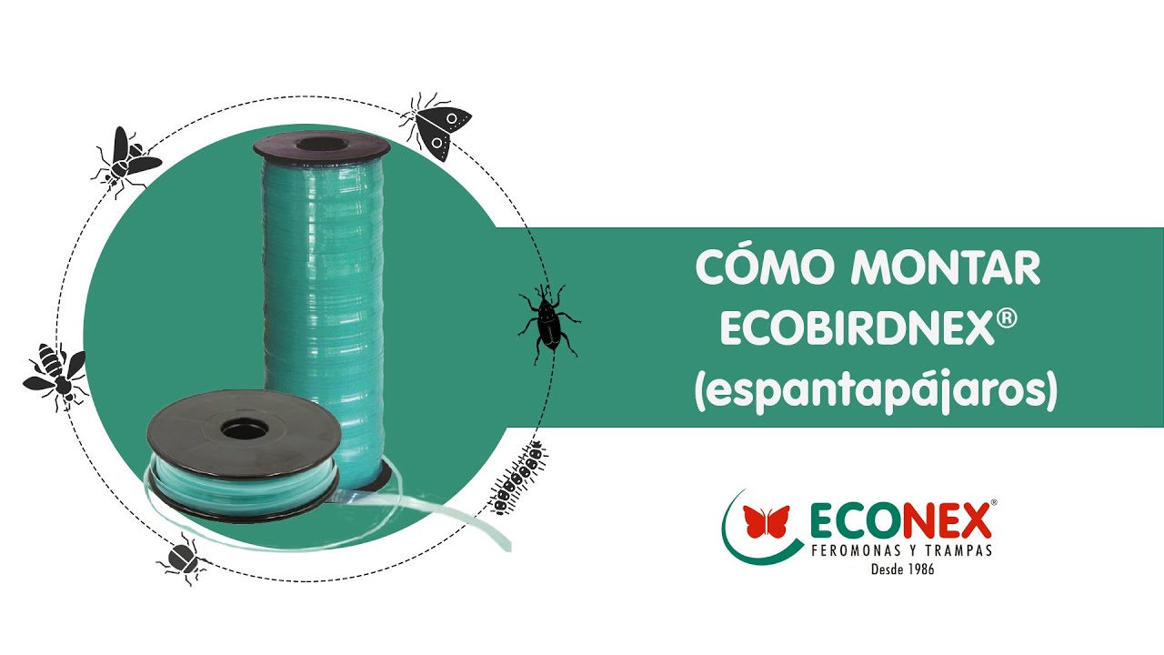 MONTAJE ECOBIRDNEX® espantapájaros