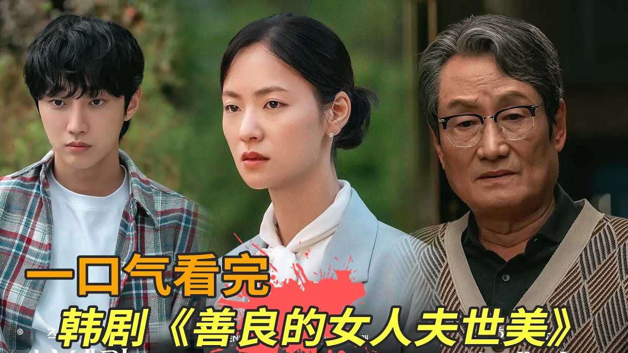 最新韩剧《善良的女人夫世美》一口气看完，女保镖成为财阀夫人继承巨额遗产，真相却是！