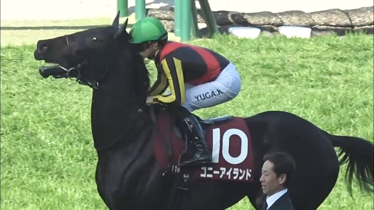 【現地】 荒ぶるコニーアイランドの後頭部を顔面に受けて痛そうにしている川田将雅騎手【チューリップ賞 阪神競馬場】