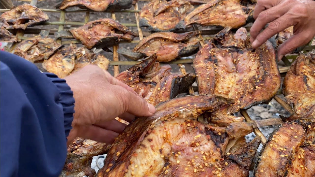 Câu cá #102[ cá lóc hun khói . Tập 2]