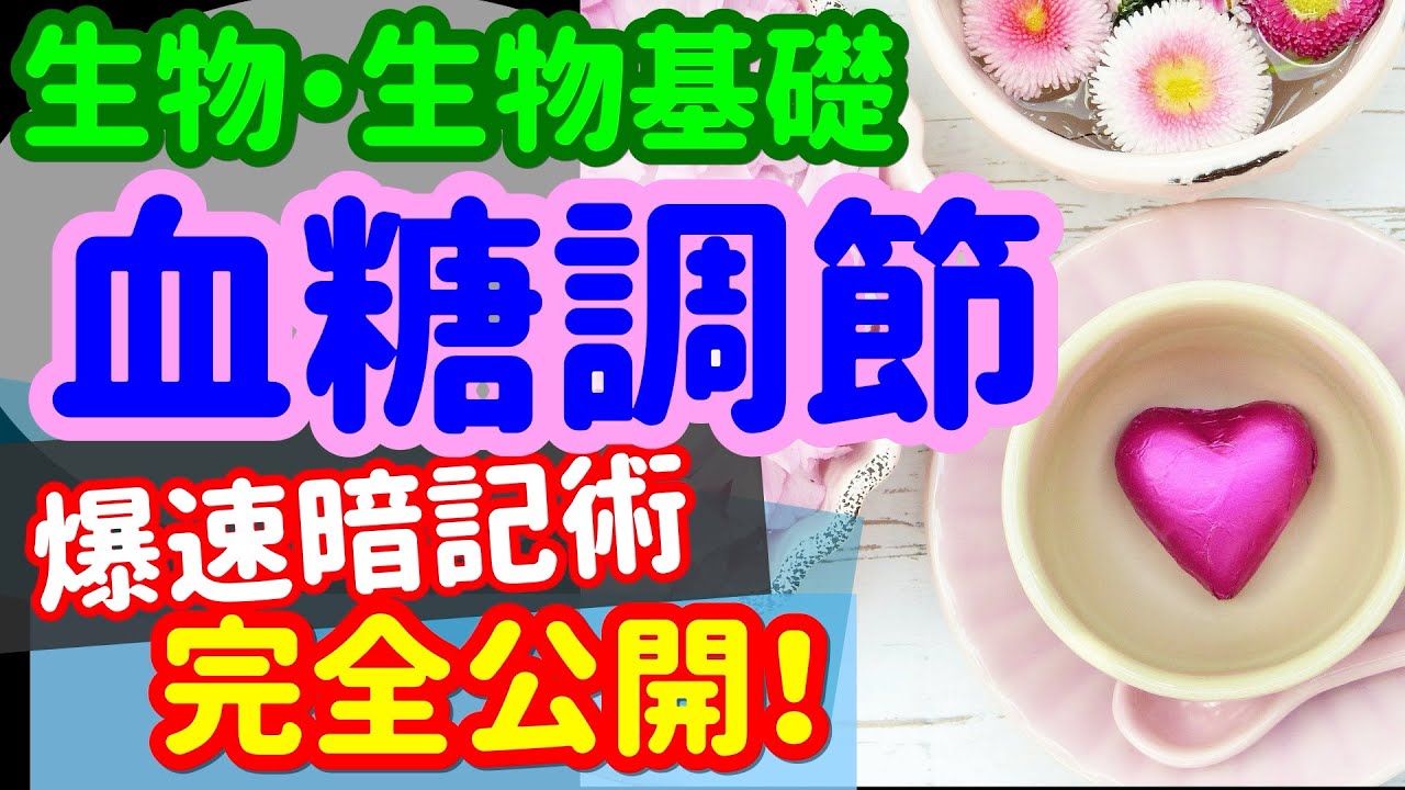 【生物基礎 25】ホルモン【血糖量調整】を宇宙一わかりやすく