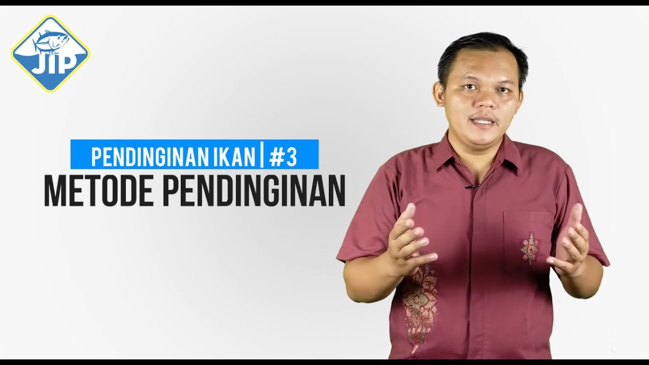Pendinginan Ikan #3 | Metode Pendinginan Ikan