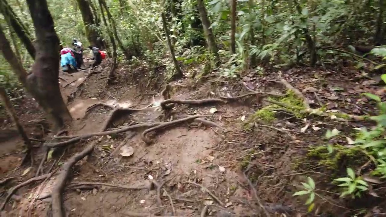 Trek Curam Puncak Sagara 