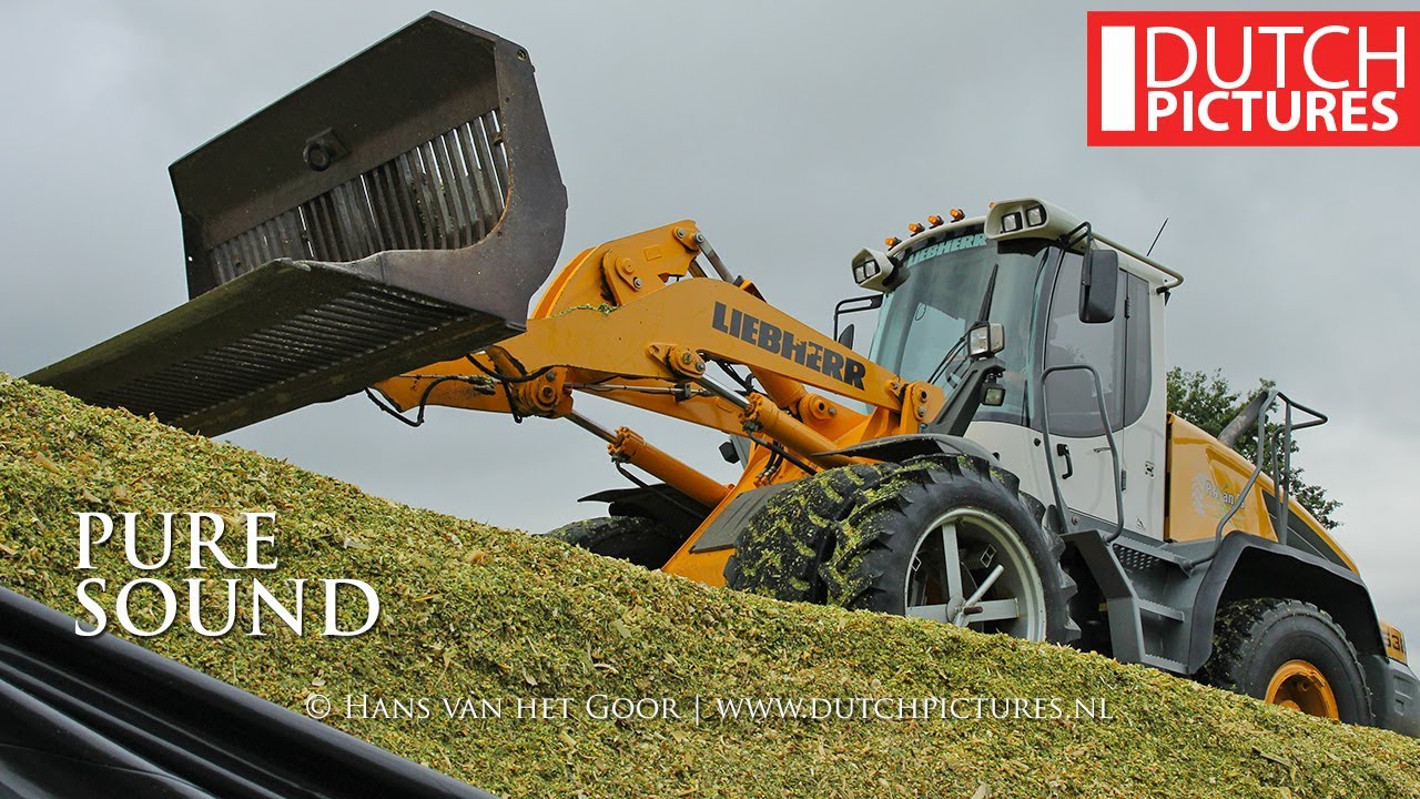 Mais hakselen + Kuilwerk - Maize silage + Pitwork - Krone Big X 500, P.A. van Es - New Holland