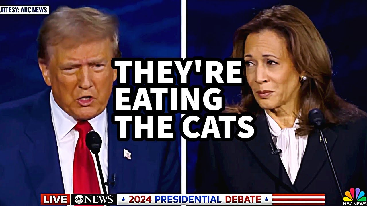 They are eating the Dogs n' cats song by Spaul (The Kiffness inspired ) Trump Kamala debate