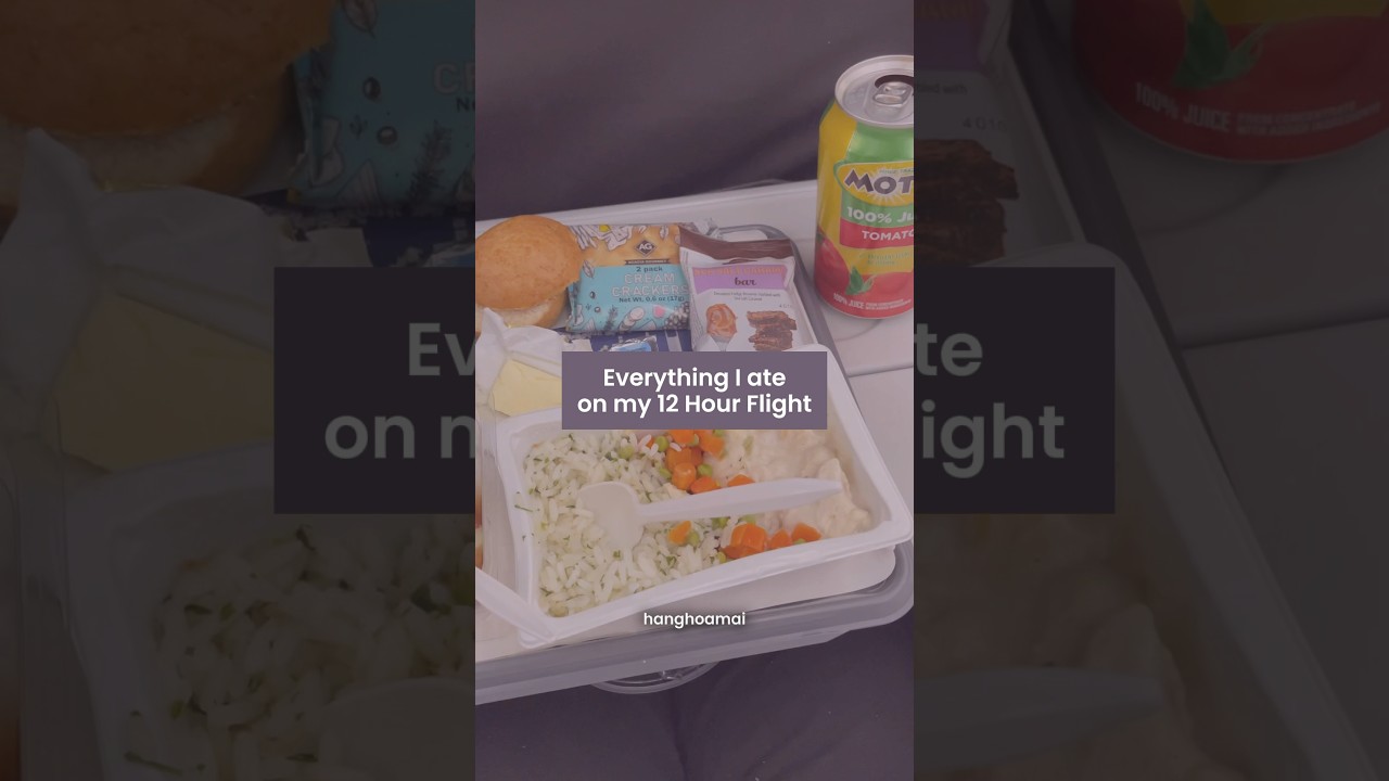 american airlines meal review