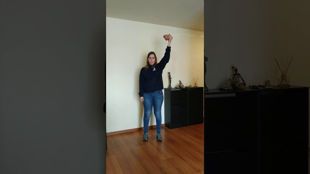 Atividade física em casa - exercícios para os membros superiores II