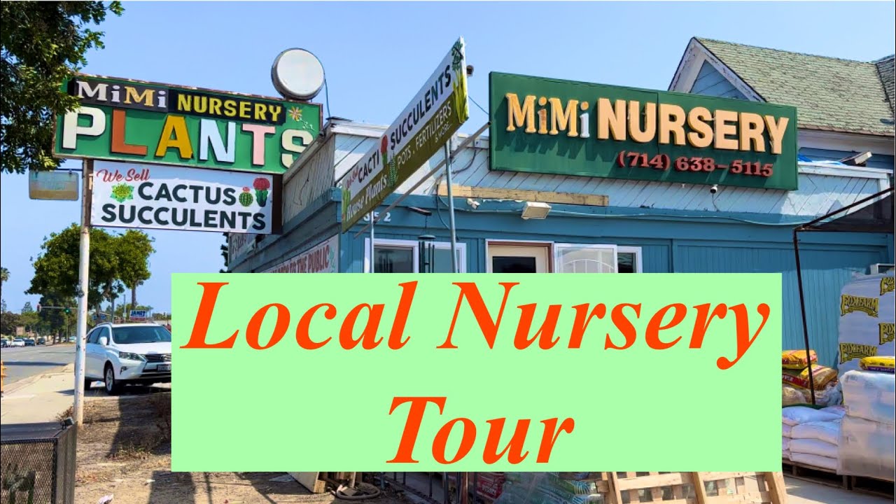 Local Nursery with vast variety of Rare succulents and cactus let&rsquo;s go shop 😊