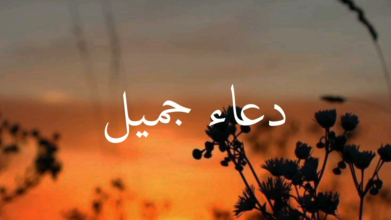 ياملاذ الهاربين 💦💦
