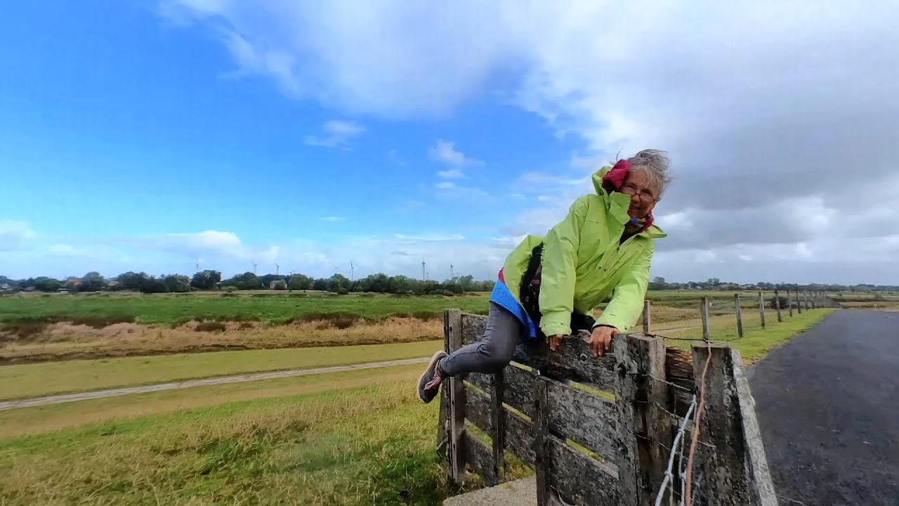Emden entdecken Spaziergang Deichkrone Seedeich zwischen Borssum & Petkum Ostfriesland dyke walk