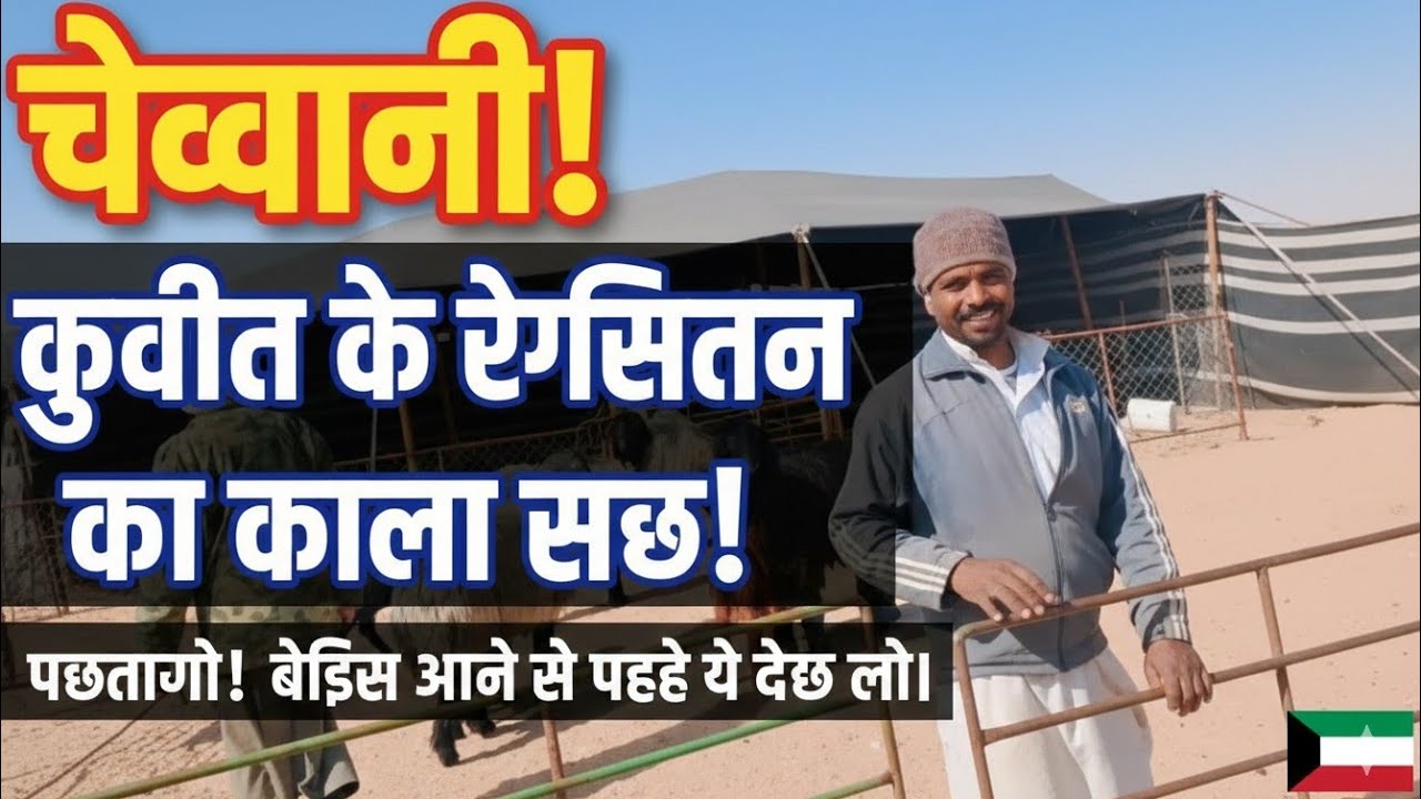 विदेश से कैसे बात करते हैं घर पर कुवैत कंट्री रेगिस्तान में ऊंट चराने का मजा बाप रेजंगल में रहना है