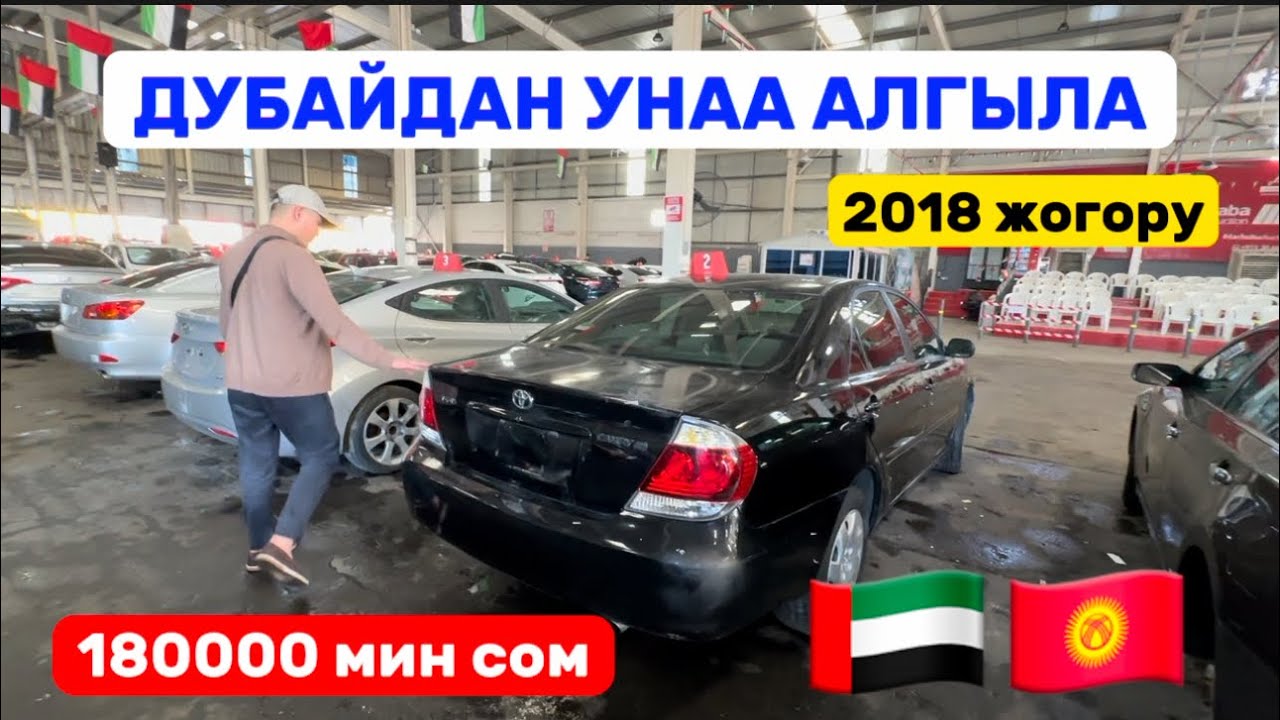 ЭМИ унааларды ДУБАЙДАН алыш керек ~ АРЗАН ЭКЕН ~ СИЗГЕ КАНДАЙ УНАА КЕРЕК