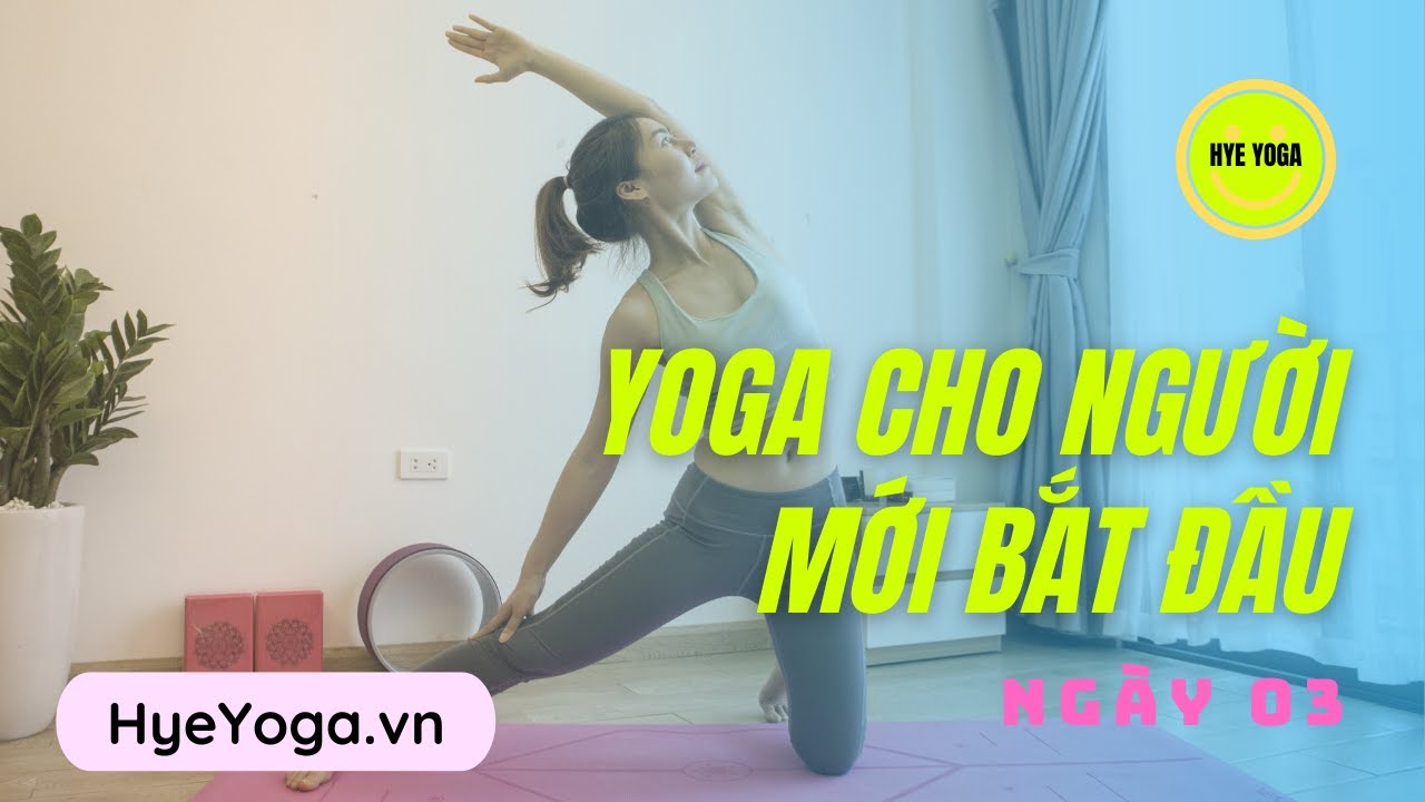 Yoga Cho Người Mới Bắt Đầu | Ngày 03