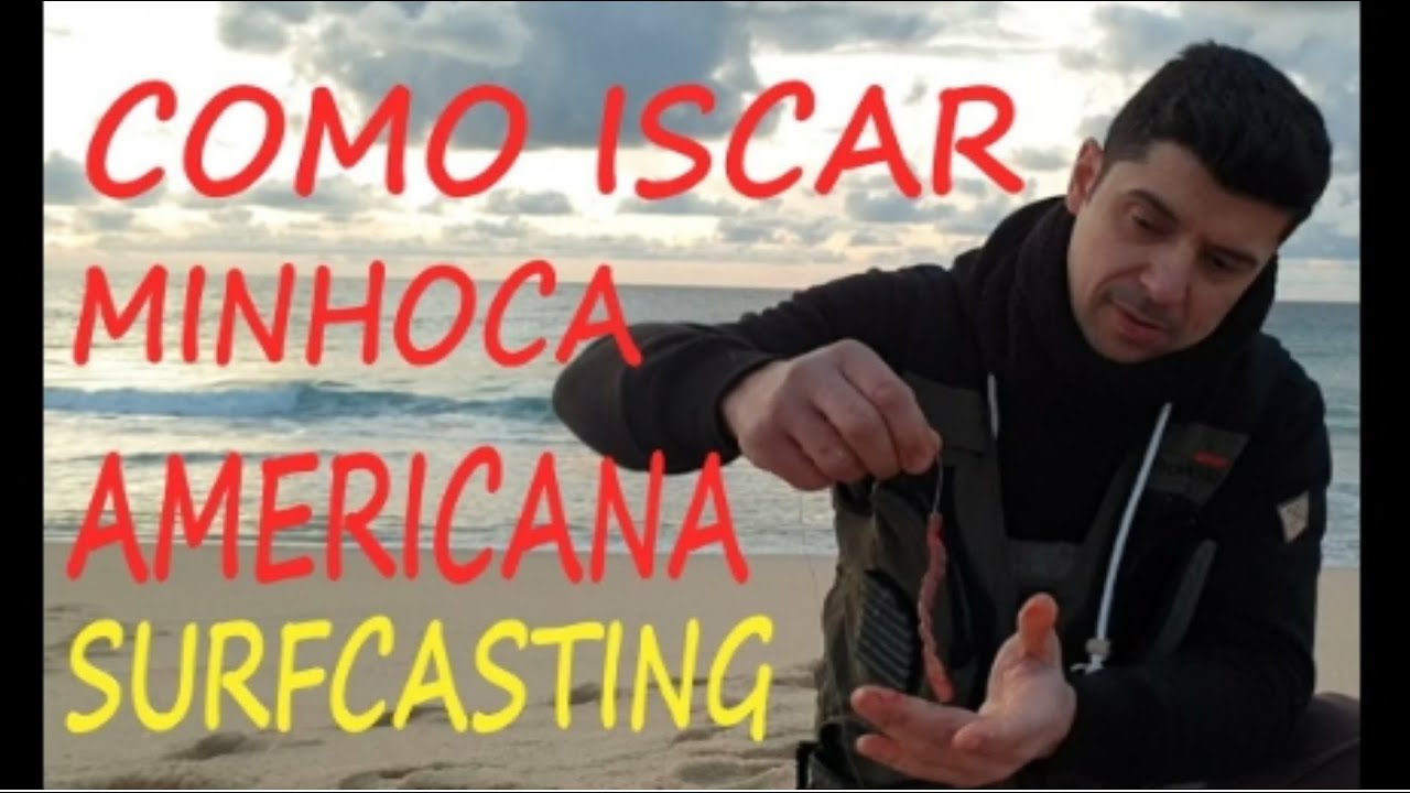 ISCAR MINHOCA AMERICANA- EXCELENTE ISCO PARA PESCA DE PRAIA- SURFCASTING