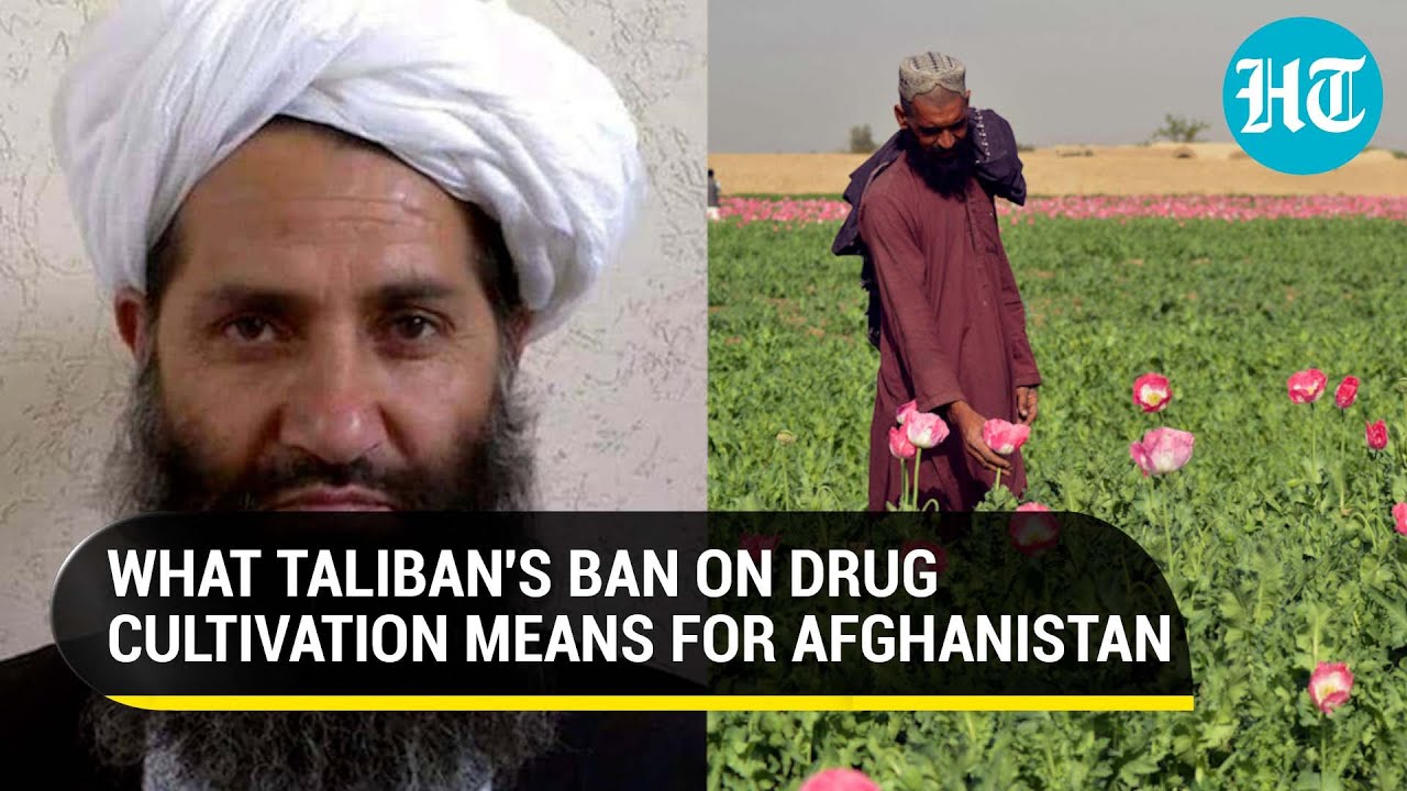 Taliban's ban on drug production a good news for Afghanistan and its neighbours?