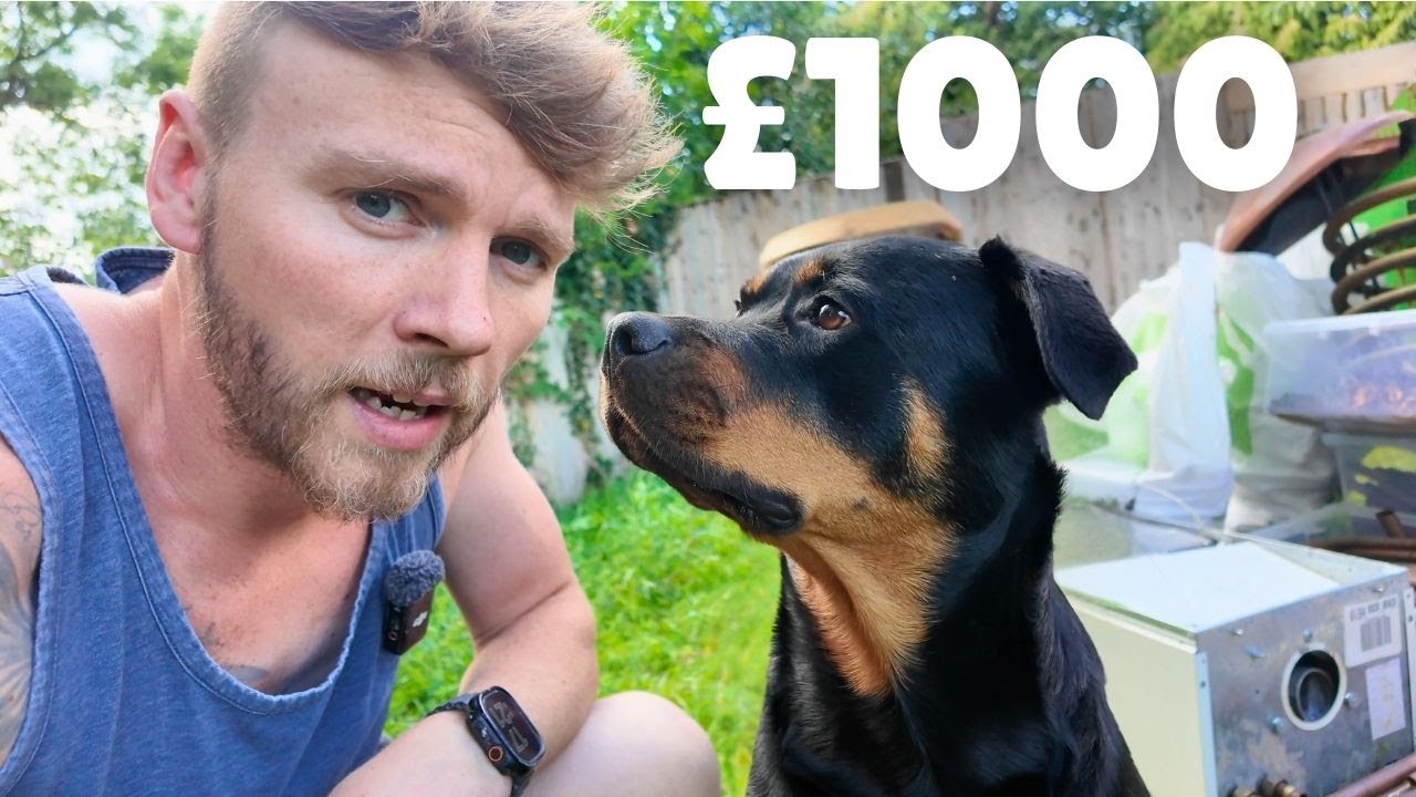 I Earnt £1000 For Doing Nothing