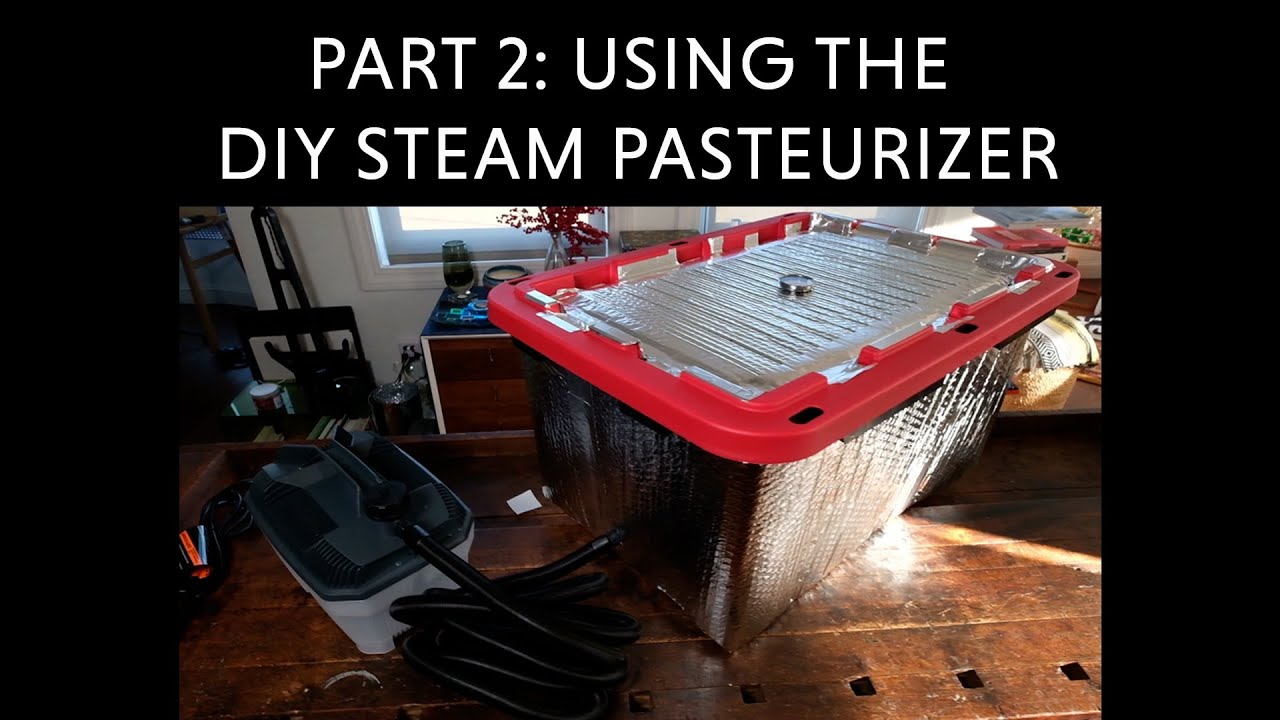 MIND-BLOWING Results from Testing My DIY Mushroom Pasteurizer