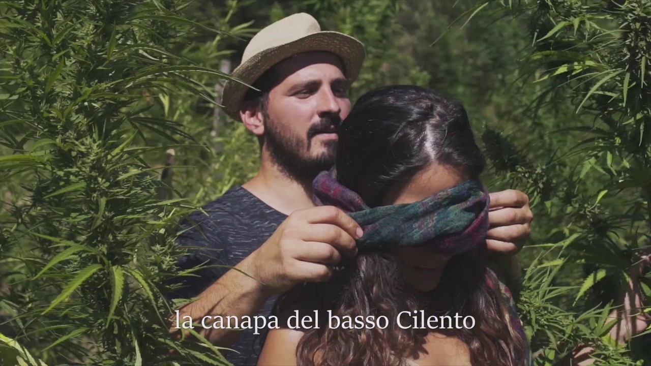 Mediterranea Social Canapa video spot