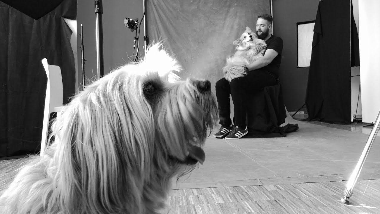 CROZ CALENDAR 2022 - Making of