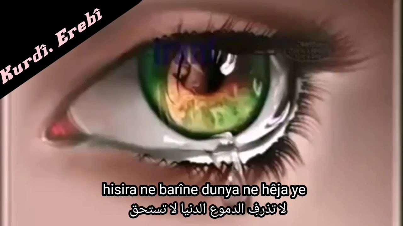 اغنية كوردية مترجمة للعربية. عدنان سعيد Ednan Sa&icirc;d stranek kurd&icirc; tercuman kiriye bi ereb&icirc;