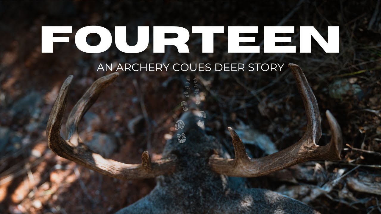 Четырнадцать - История о стрельбе из лука и оленях *Мой самый большой денежный приз*