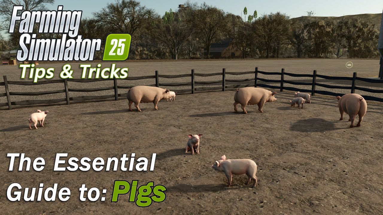 The Essential Guide to Pigs in Farming Simulator 25