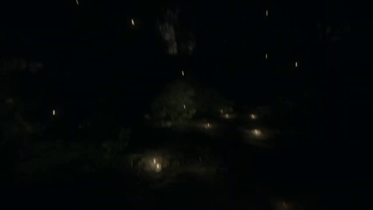 Everybody's Gone to the Rapture