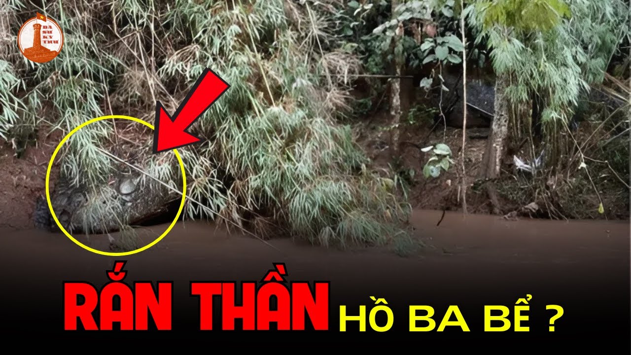 Rắn khổng lồ xuất hiện ở Hồ Ba Bể? | Chuyện lạ Việt Nam
