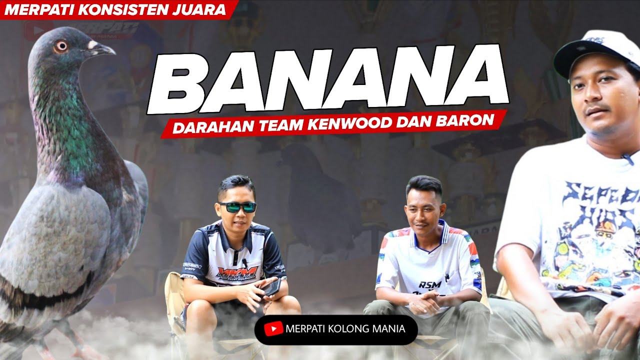 MANTAP TRAHNYA‼️BANANA Team RSM PEKALONGAN  JUARA 4 DILAPAK LEGOK CLILE EVENT 200 JUTA Januari 2026