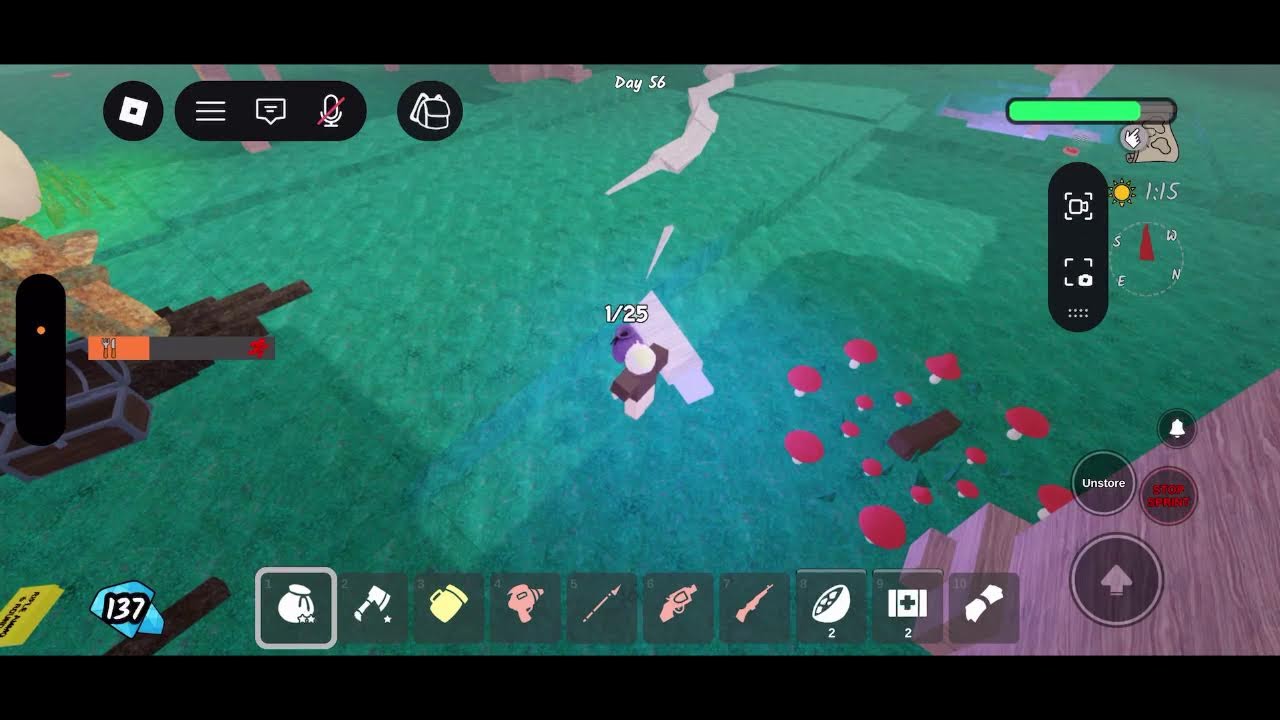 99 nights in the forest