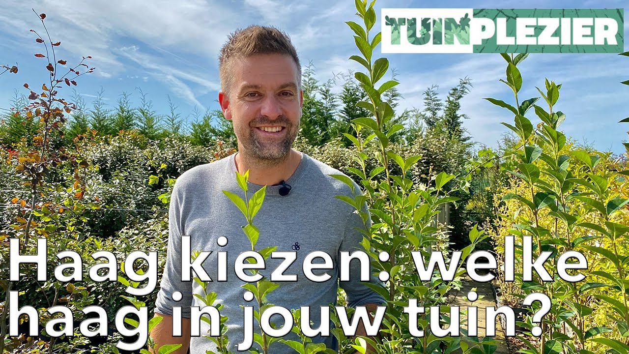 Haag kiezen: welke haag in jouw tuin? | Tuinplezier