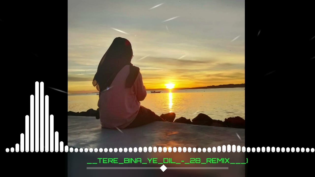___TERE_BINA_YE_DIL‼️_-_28_REMIX___)