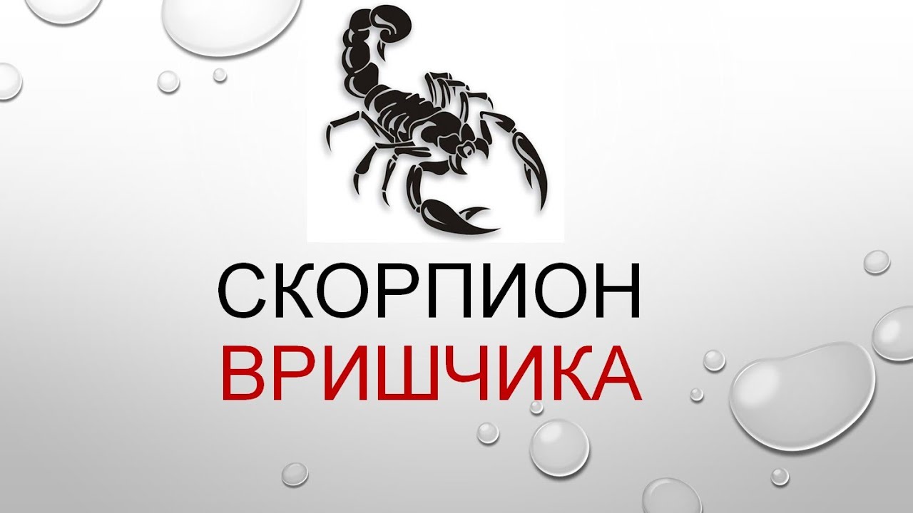 Характеристики знака Скорпиона - презентация Татьяны