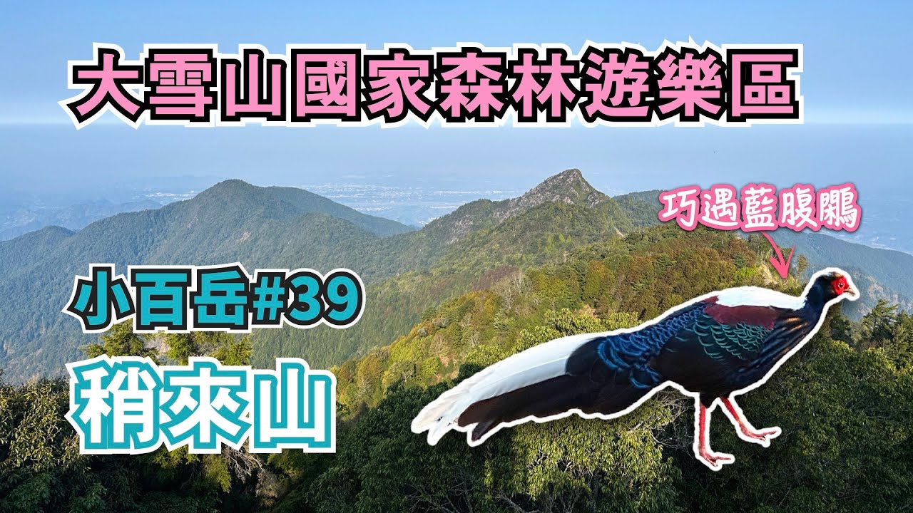 大雪山森林遊樂區｜稍來山⛰️ 最輕鬆路線免攀岩，大雪山林道35K起登，3條登頂路線介紹，小百岳No.39｜台中景點