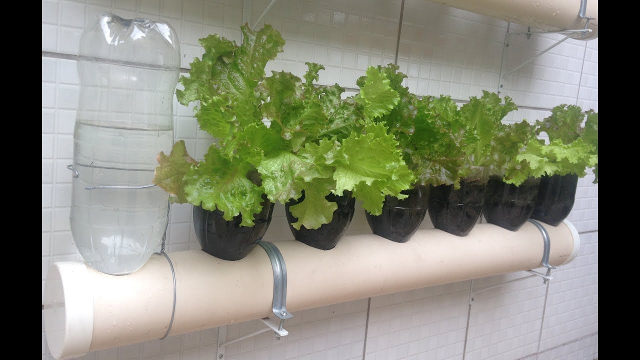 Como fazer uma Horta Vertical com Garrafa Pet, Irrigação Automática 3